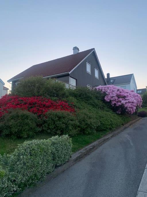 Villa Sentralt Pa Byhaugen, Naer Ons Stavanger Exterior photo